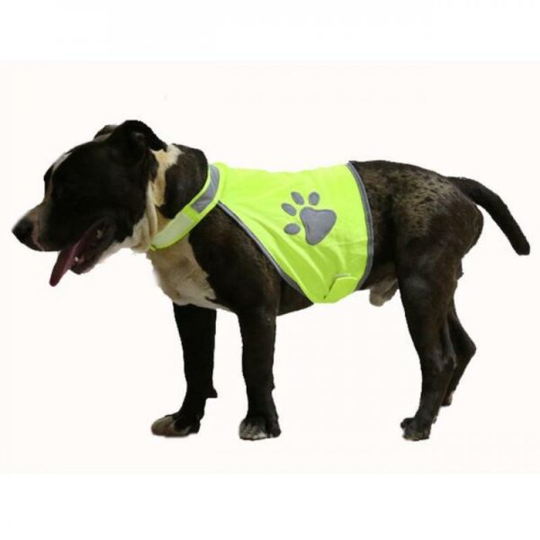 Duvo+-Refleksvest-til-hund--Varanger-Sportslager-1