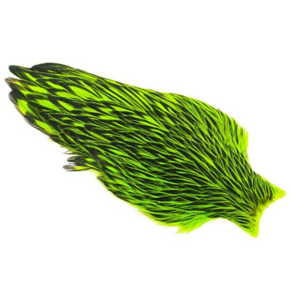 Whiting-Am-Hen-Cape-BLW-Fl-Green-chartreuse--Varanger-Sportslager-1