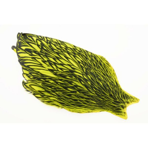 Whiting-American-Hen-Cape-Black-Laced---Fl.-Yellow-Chartreuse--Varanger-Sportslager-1