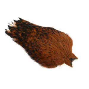 Whiting-American-Rooster-Cape---Black-Laced-Brown--Varanger-Sportslager-1