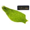 Whiting-Hen-Cape-Grizzly-Green-Vhartreuse--Varanger-Sportslager-1