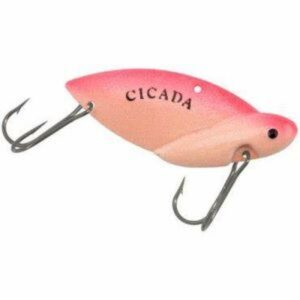 cicada-Red-Glow-3-8-OZ-Spinner--Varanger-Sportslager-1