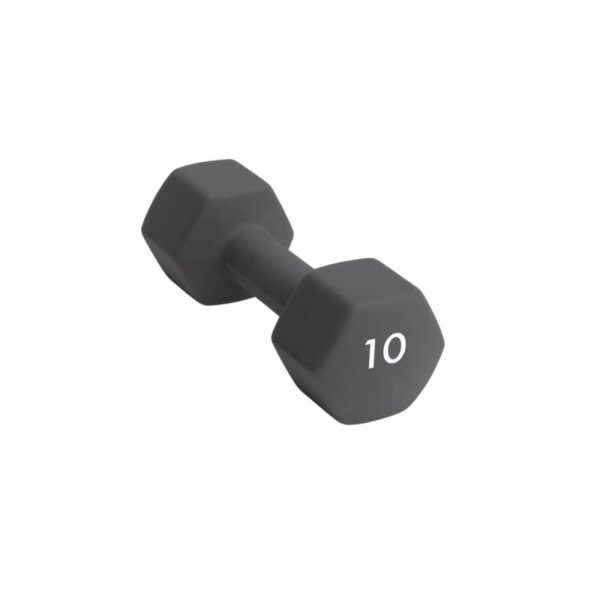 Abilica Abilica Dumbbell 10 Kg 374284 Varanger Sportslager 1